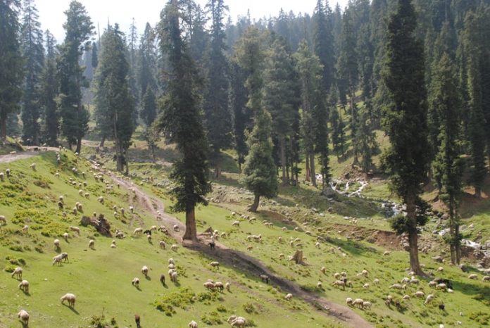 Every indian will be able to buy land in jammu and kashmir