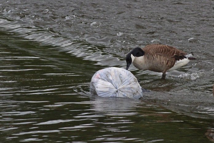 Plastic waste in America