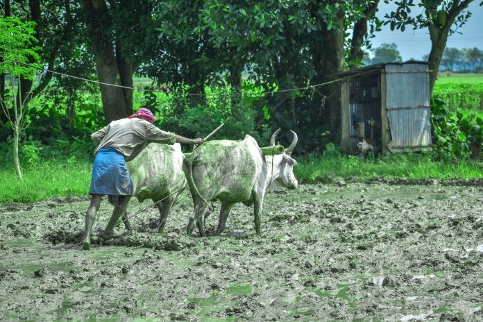 NewsGram Hindi न्यूज़ग्राम हिंदी किसान मध्यप्रदेश farmer in madhya pradesh