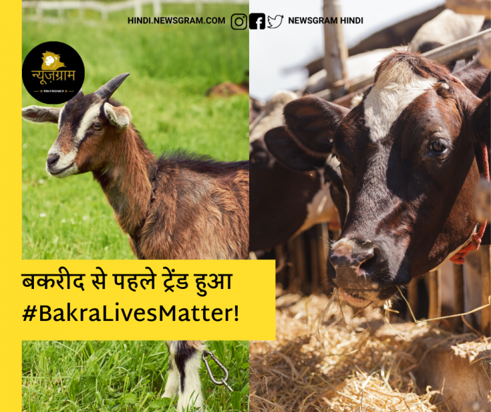 BakriId 2021: Peta India is being asked questions on #BakraLivesMatter!